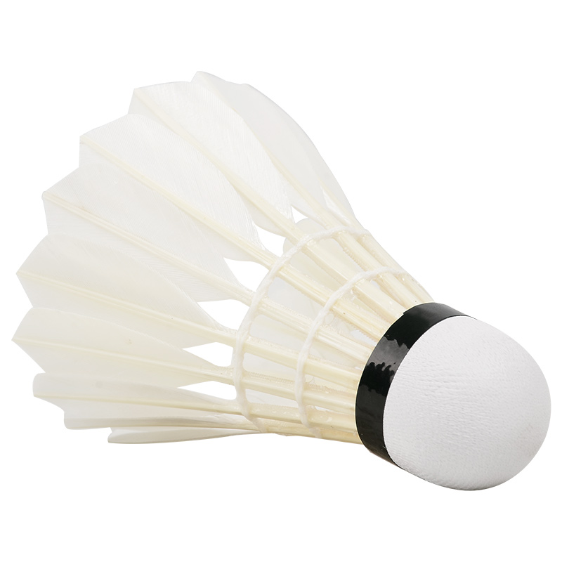 Nieuwe 12 Stuks Professionele  - Badminton Youtube recensie en prijs