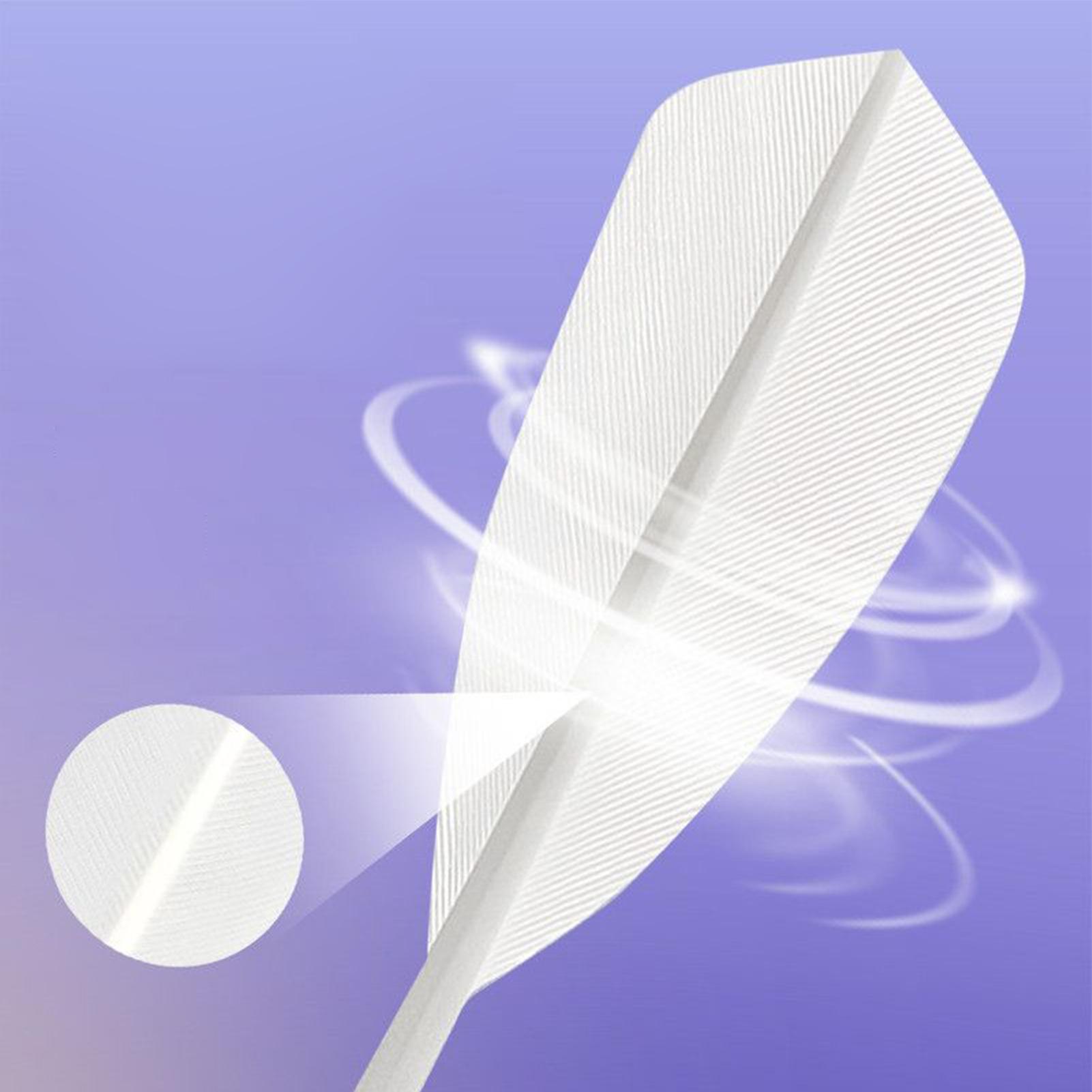 Badminton Shuttle Outdoor Zeer - Badminton Youtube recensie en prijs